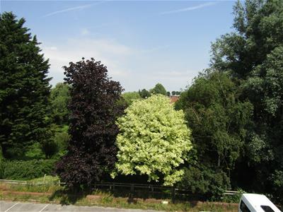 Picture 10